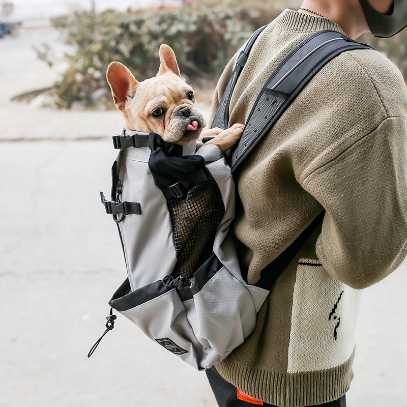 Portable Dog Carrier Backpack – Comfortable Travel Carrier