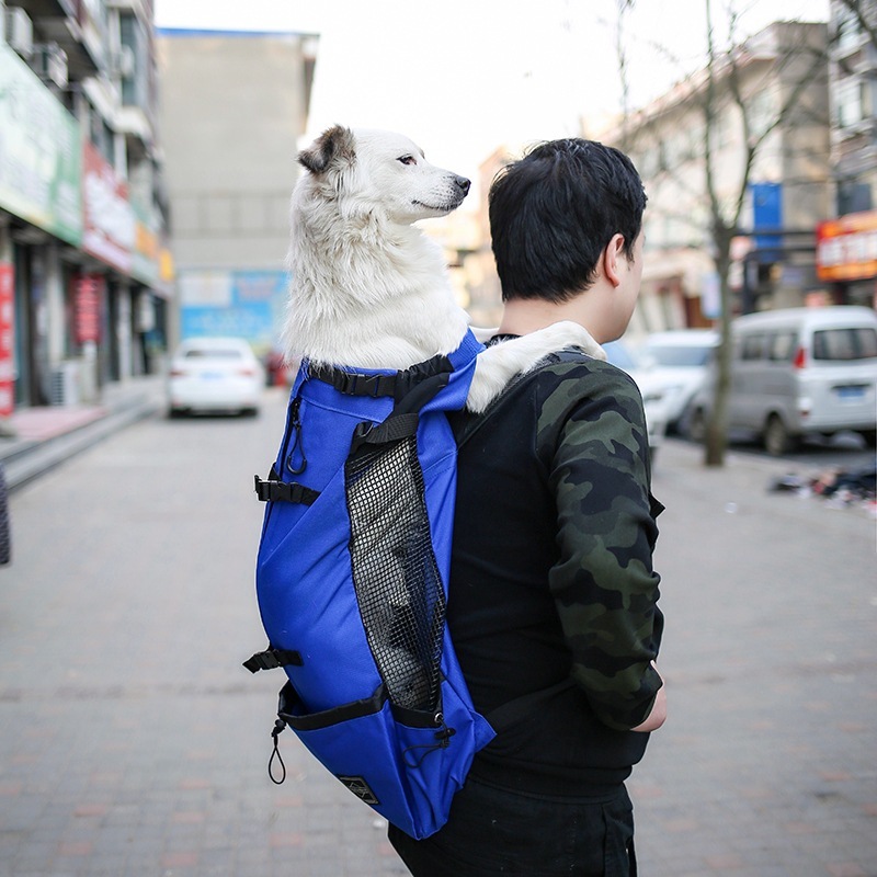 Portable Dog Carrier Backpack – Comfortable Travel Carrier - Image 7